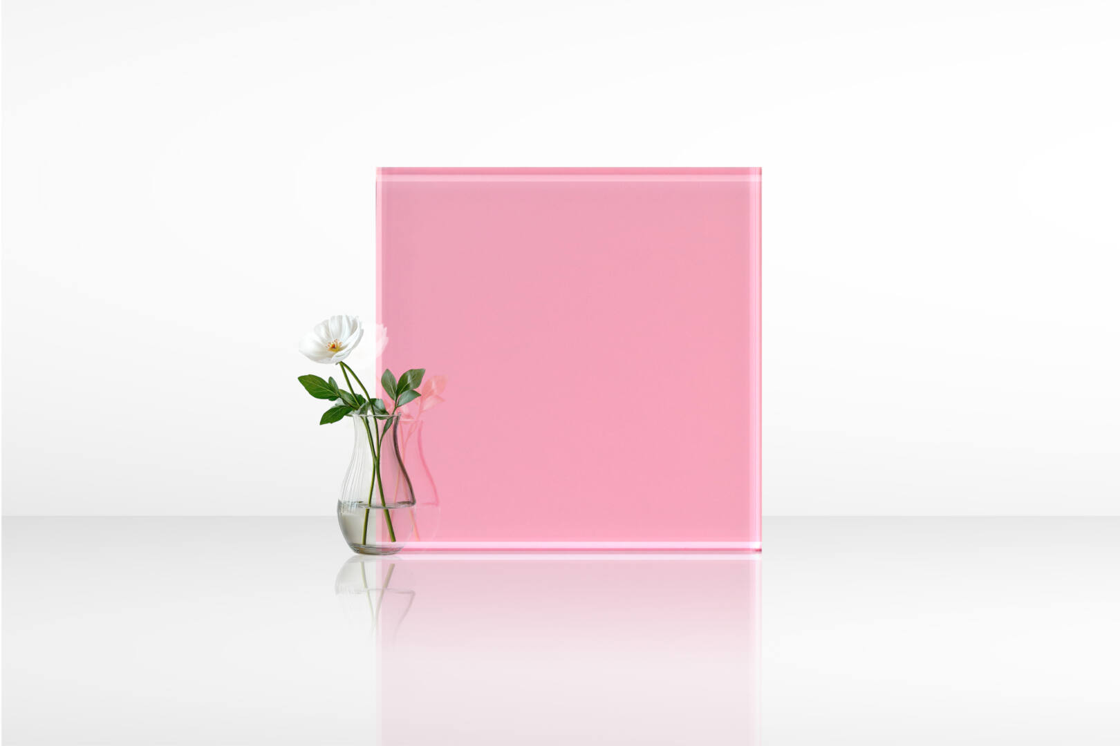 กุหลาบ 01