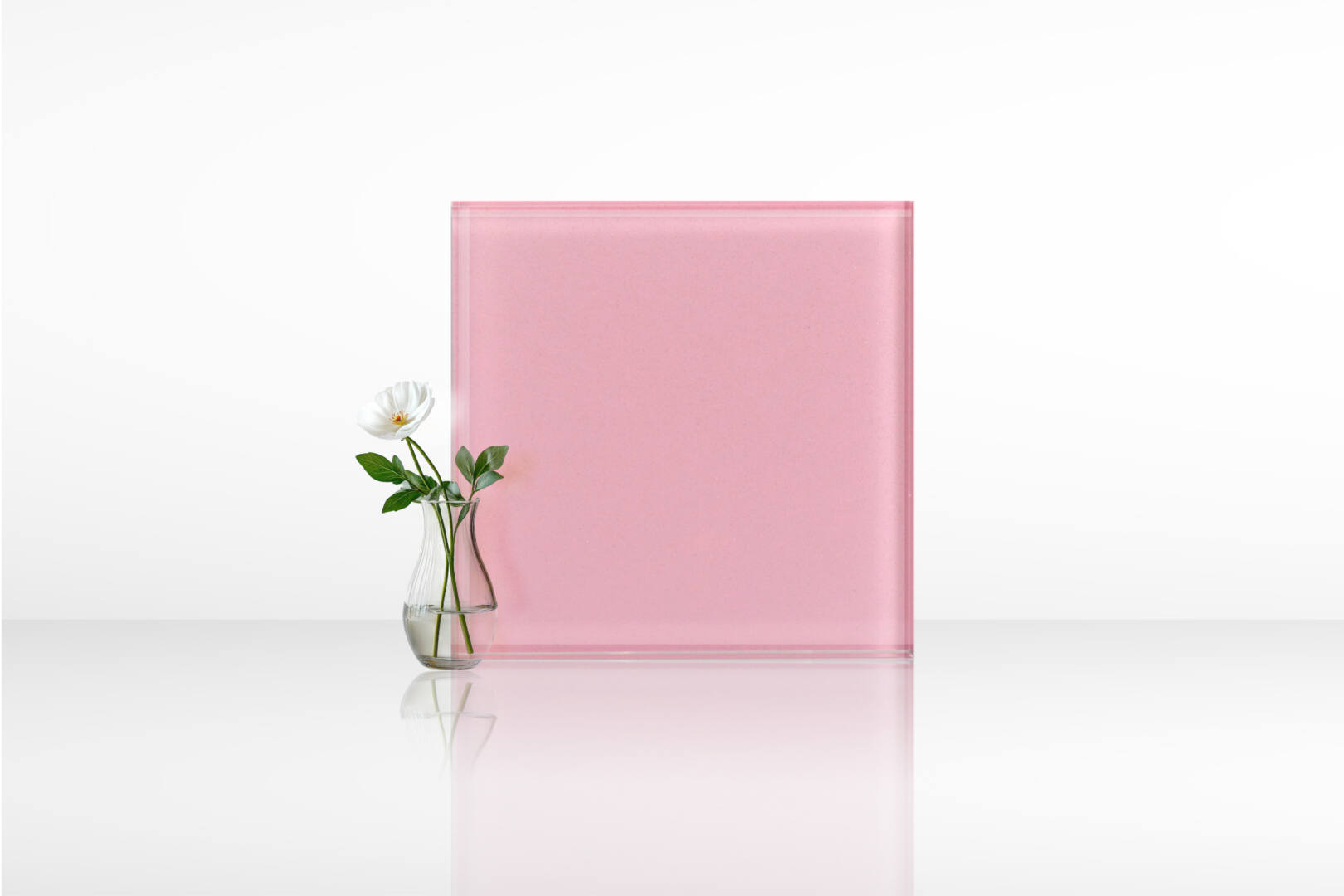 กุหลาบ 02