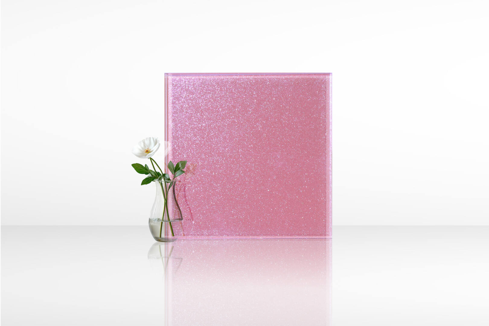 กุหลาบ 03