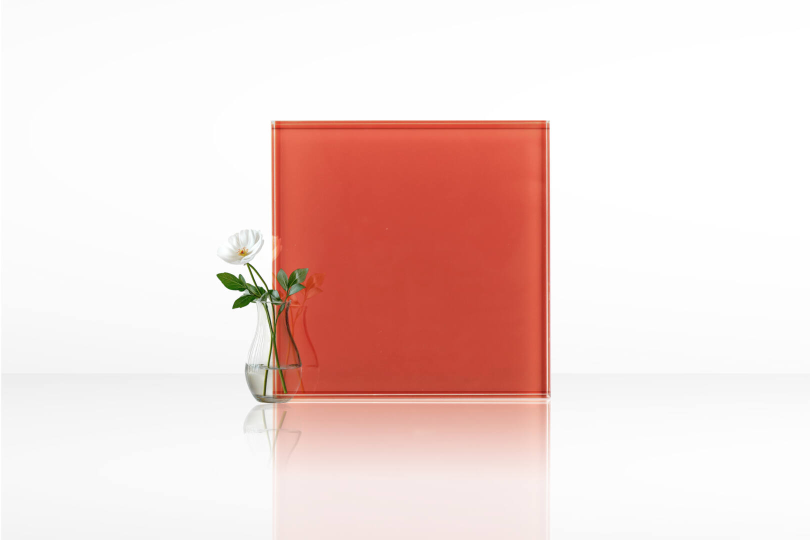 ก้านดอกกรรณิการ์ 01