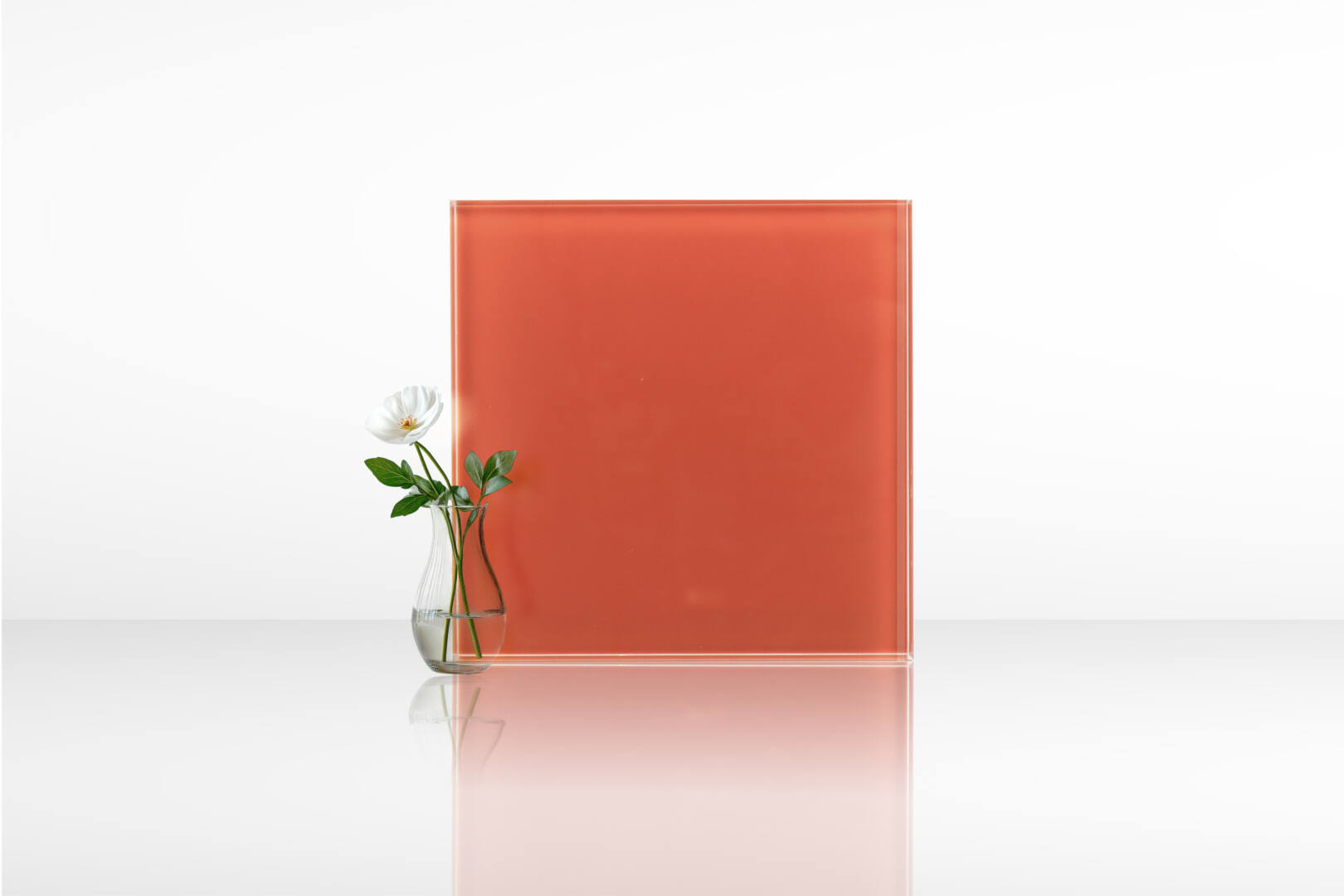 ก้านดอกกรรณิการ์ 02