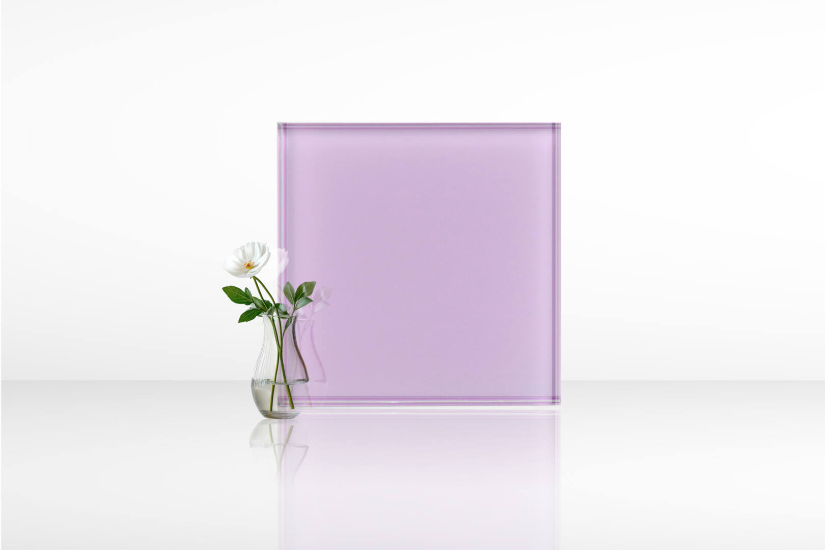 ดอกตะแบก 01