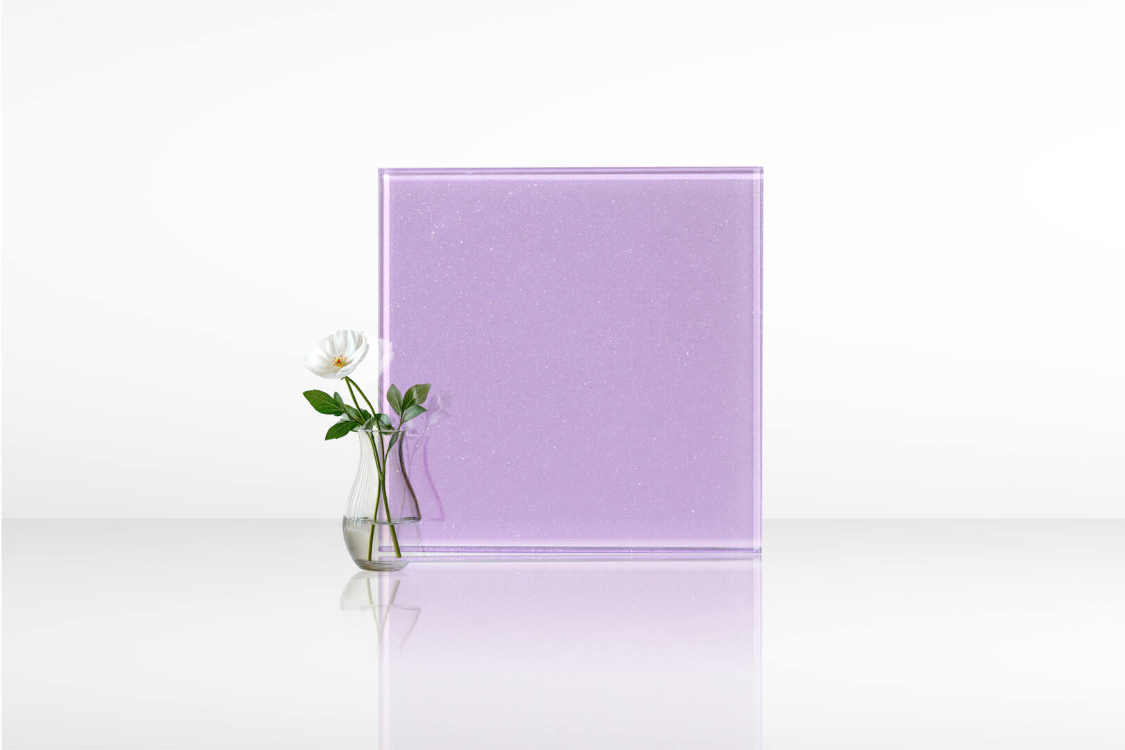 ดอกตะแบก 03