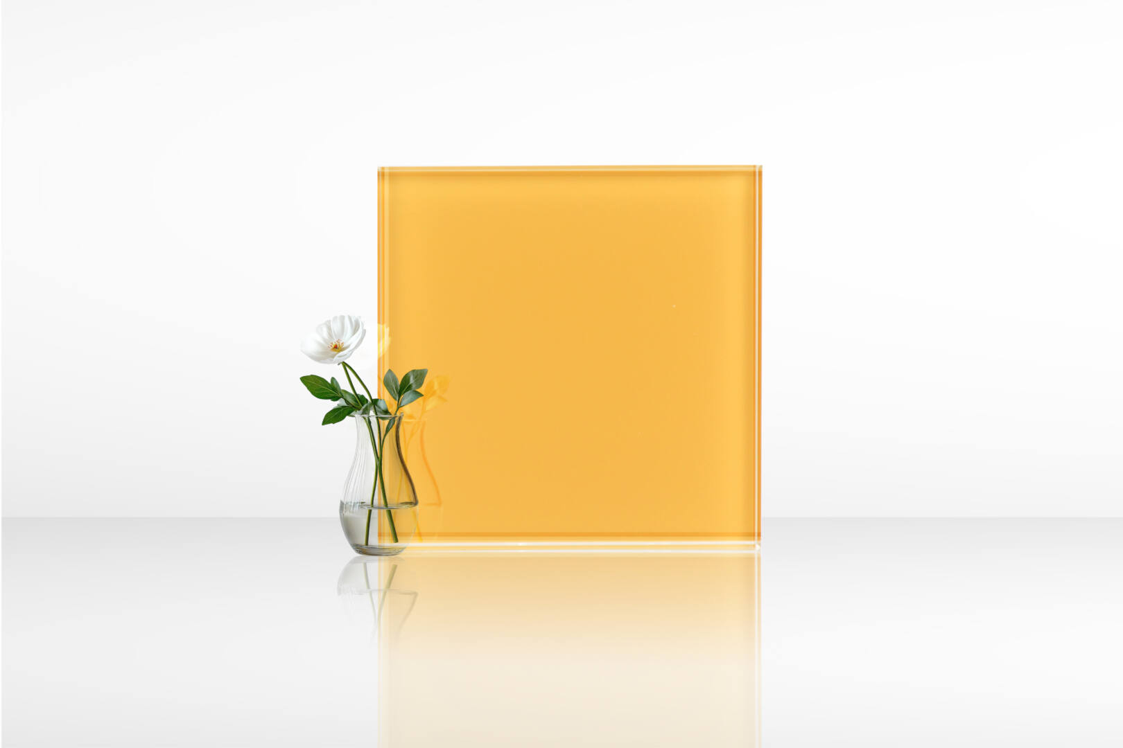 ลูกจันทร์ 01