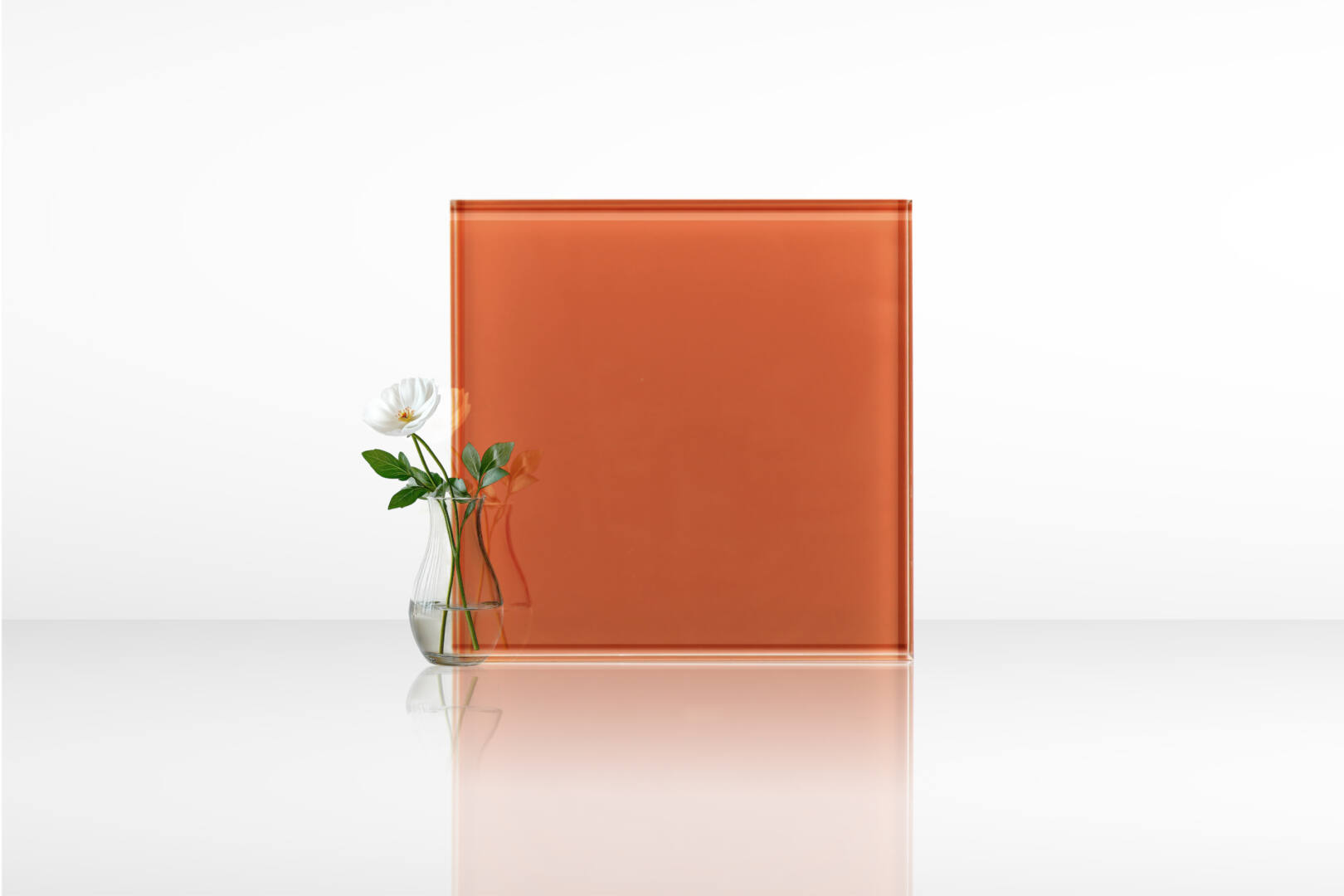 หมากสุก 01