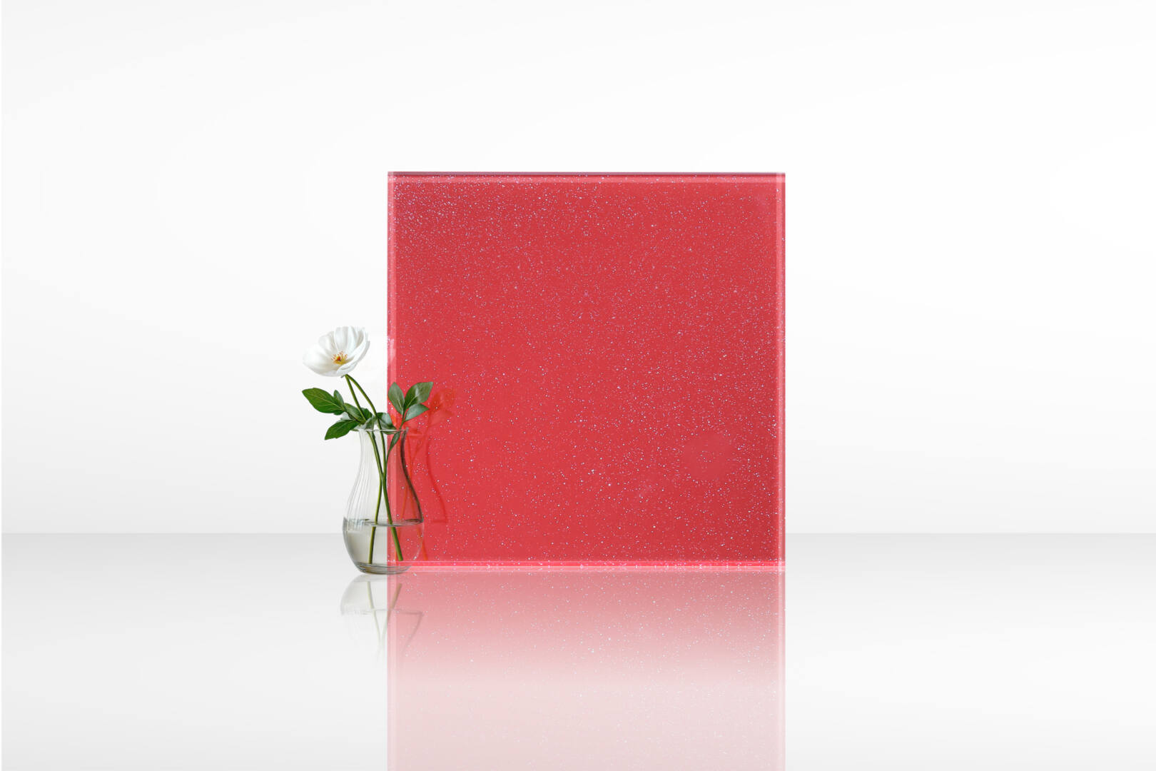 แดงดอกชบา 03