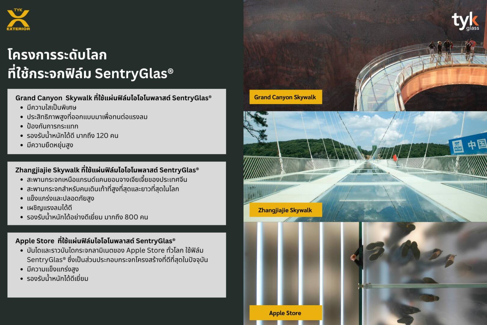 Sentry Glass