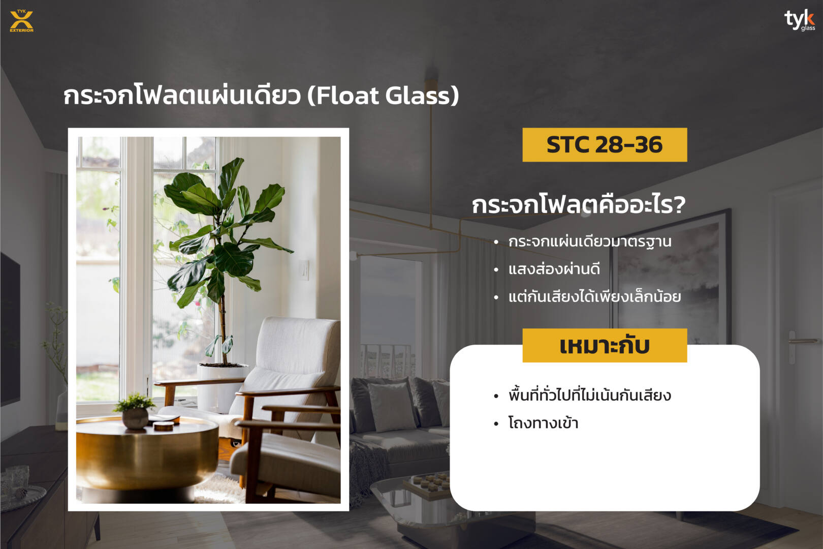 Float Glass