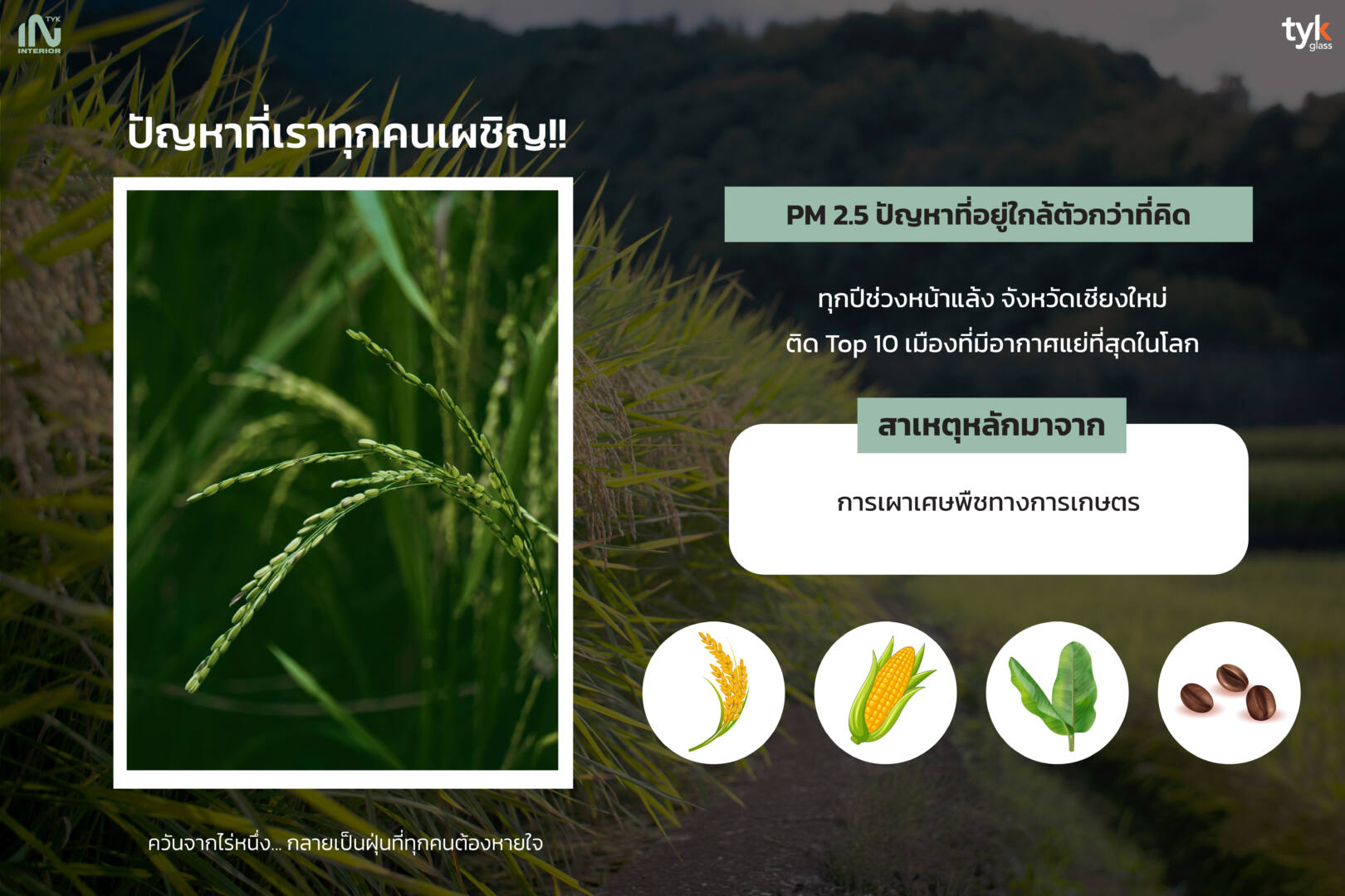 กระจกจากวัสดุธรรมชาติ