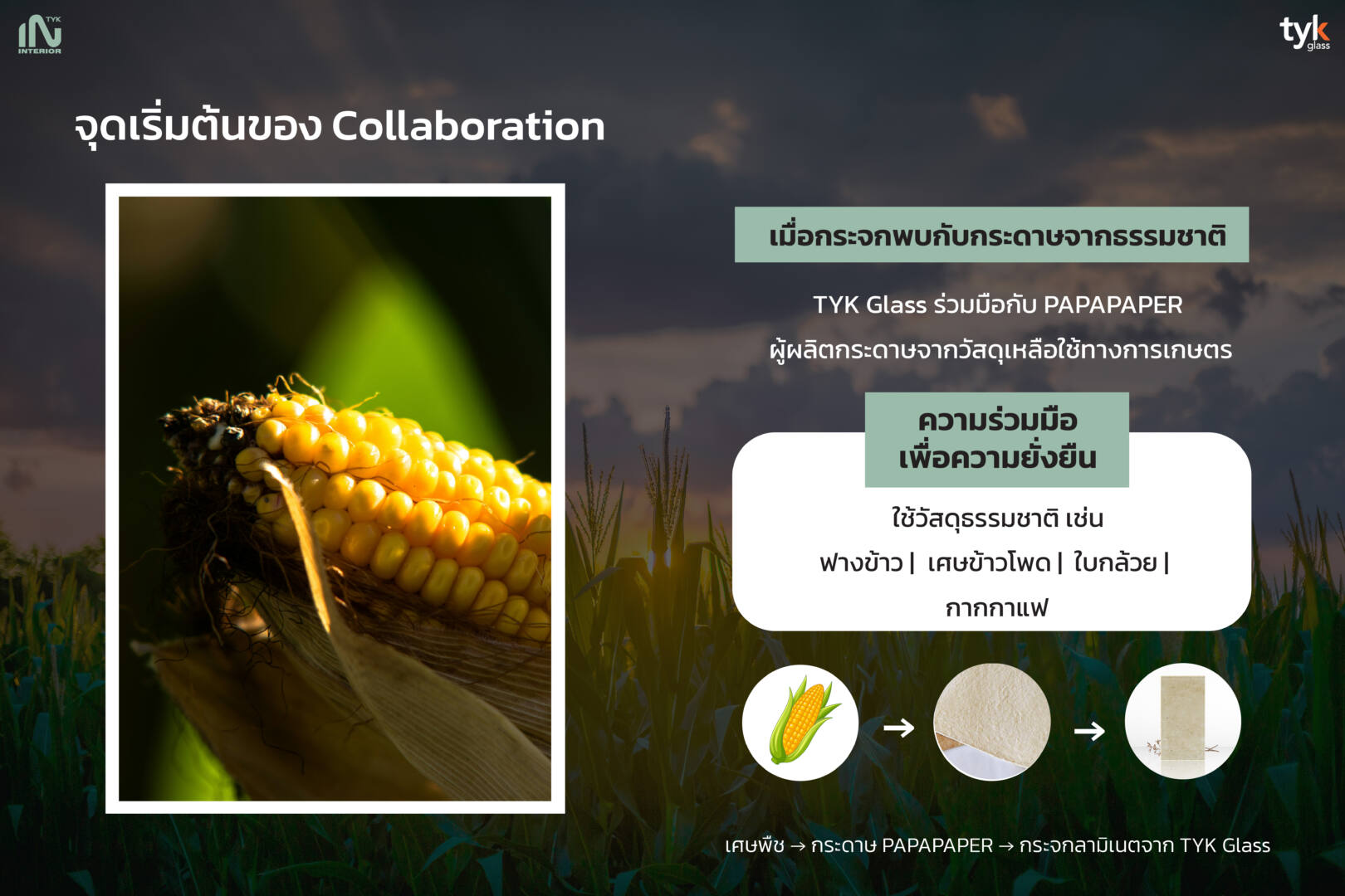 TYK Glass x PAPAPAPER