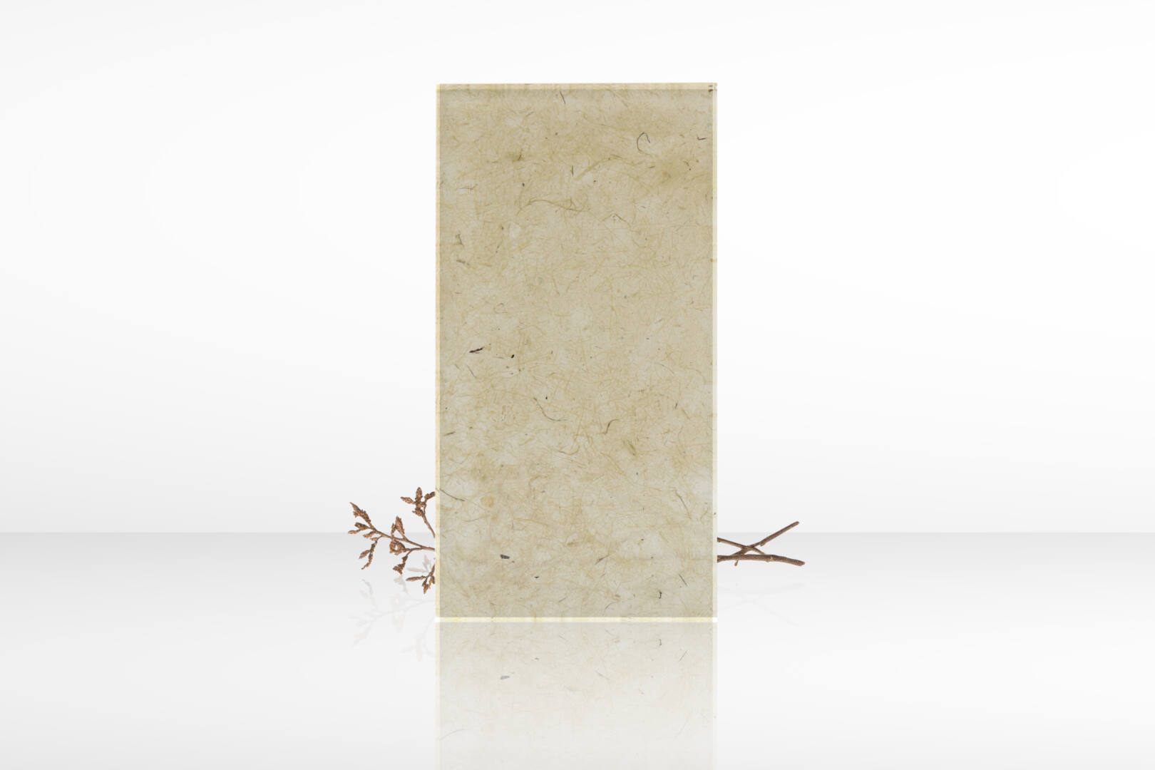 ใยข้าวโพด